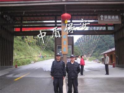 成功案例