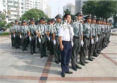 成功案例
