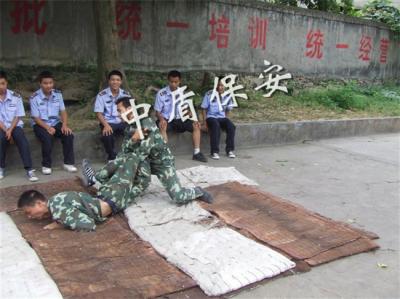 成功案例