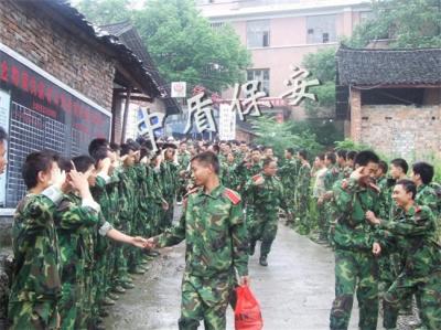 成功案例