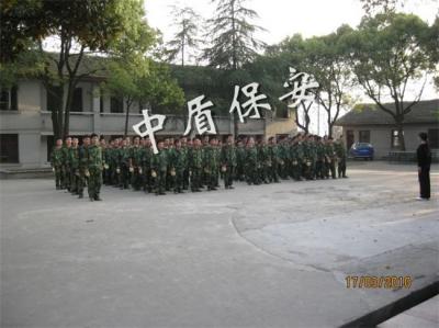 成功案例